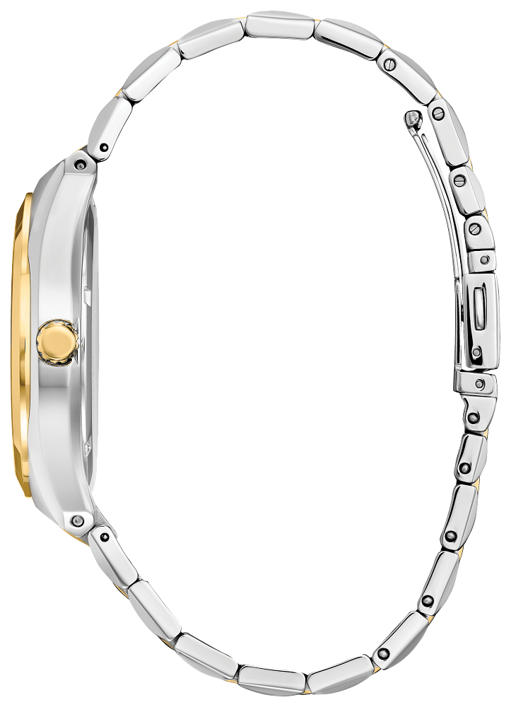 Citizen Corso Men's Eco-Drive Watch