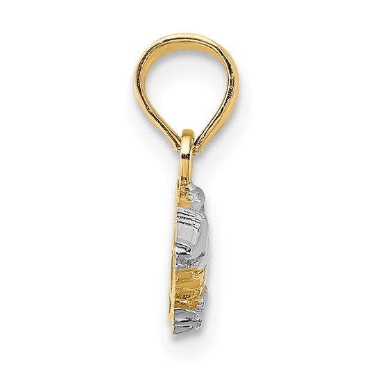 14K Yellow & White Rhodium 2-D Alligator Charm