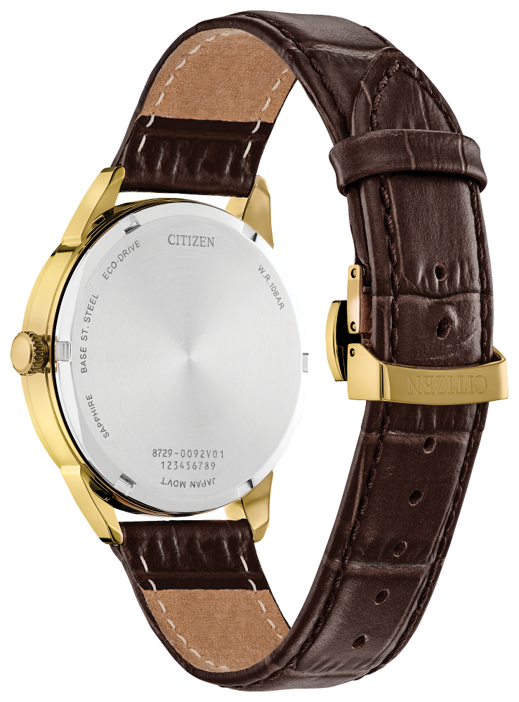 Citizen Rolan Eco-Drive Men's Watch