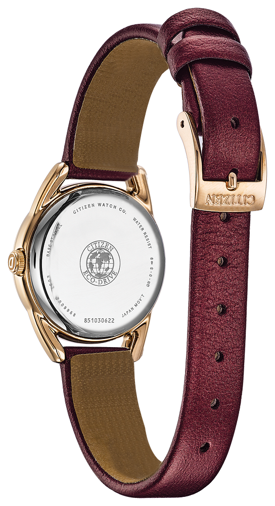 Citizen Weekender Eco-Drive Men's Watch