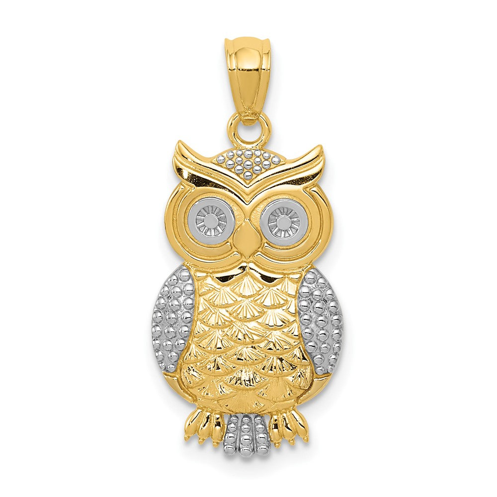 10K Yellow Gold & Rhodium Polished & Textured Owl Pendant