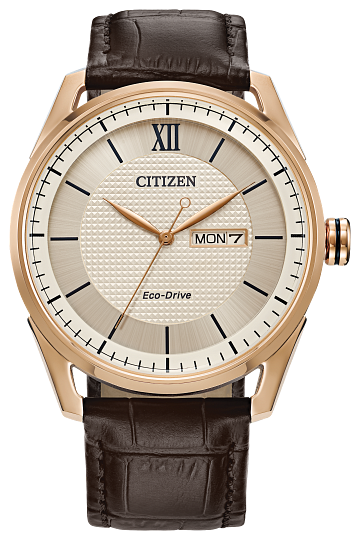 Classic Citizen Eco-Drive Men's Watch
