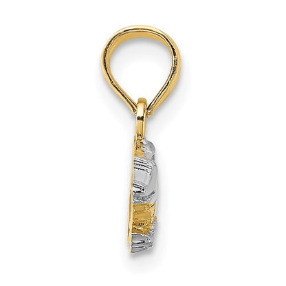 14K Yellow & White Rhodium 2-D Alligator Charm