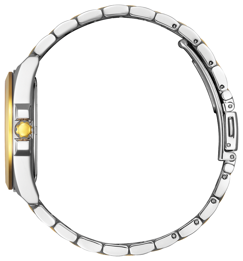 Citizen Ladies Eco-Drive Peyten Watch