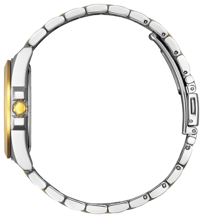 Citizen Ladies Eco-Drive Peyten Watch