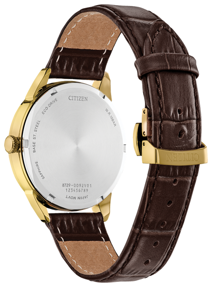 Citizen Rolan Eco-Drive Men's Watch