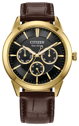 Citizen Rolan Eco-Drive Men's Watch