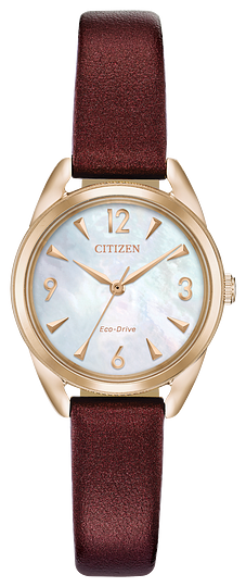 Citizen Weekender Eco-Drive Men's Watch